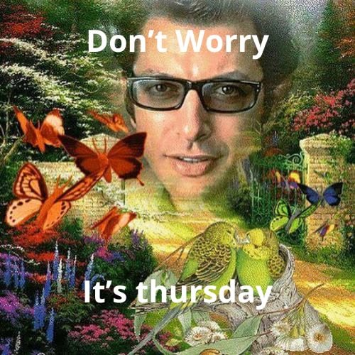 collage including flowers, butterflies, birds, and jeff goldblum. top text "don't worry" bottom text "it's thursday"